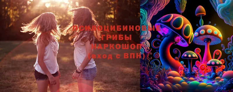 Псилоцибиновые грибы MAGIC MUSHROOMS  купить   Дмитриев 